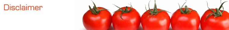 Row of tomatoes